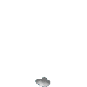 Genie